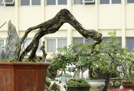 20%[-]phần[-]trăm[-]còn[-]lại[-]ở[-]dạng[-]gần[-]hoàn[-]thiện.
